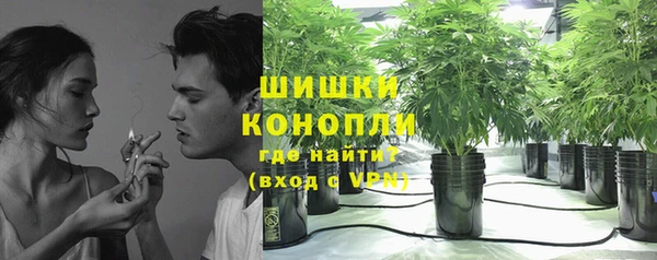 крисы Нея